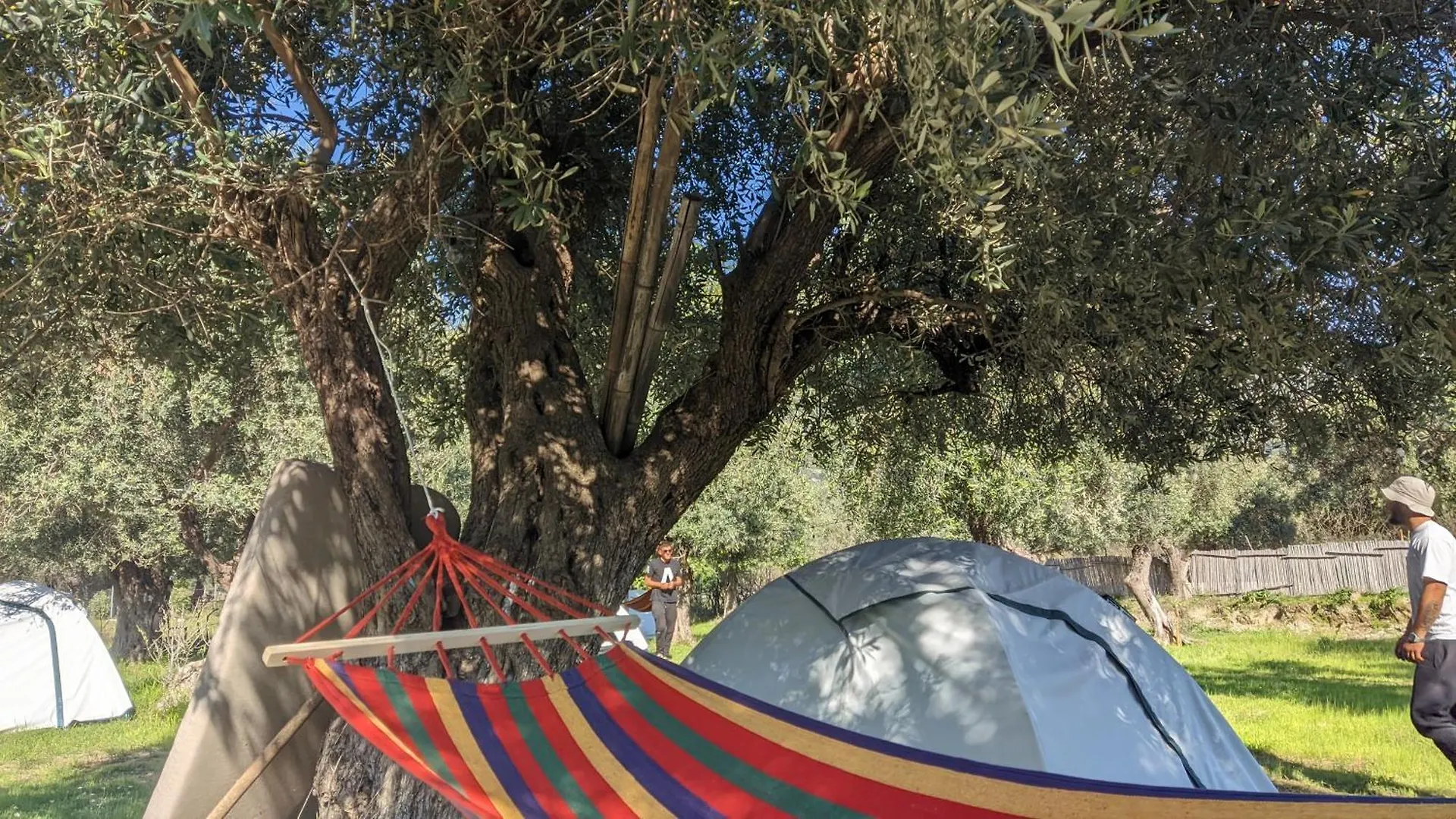 Waveside Camping Borsh Campsite