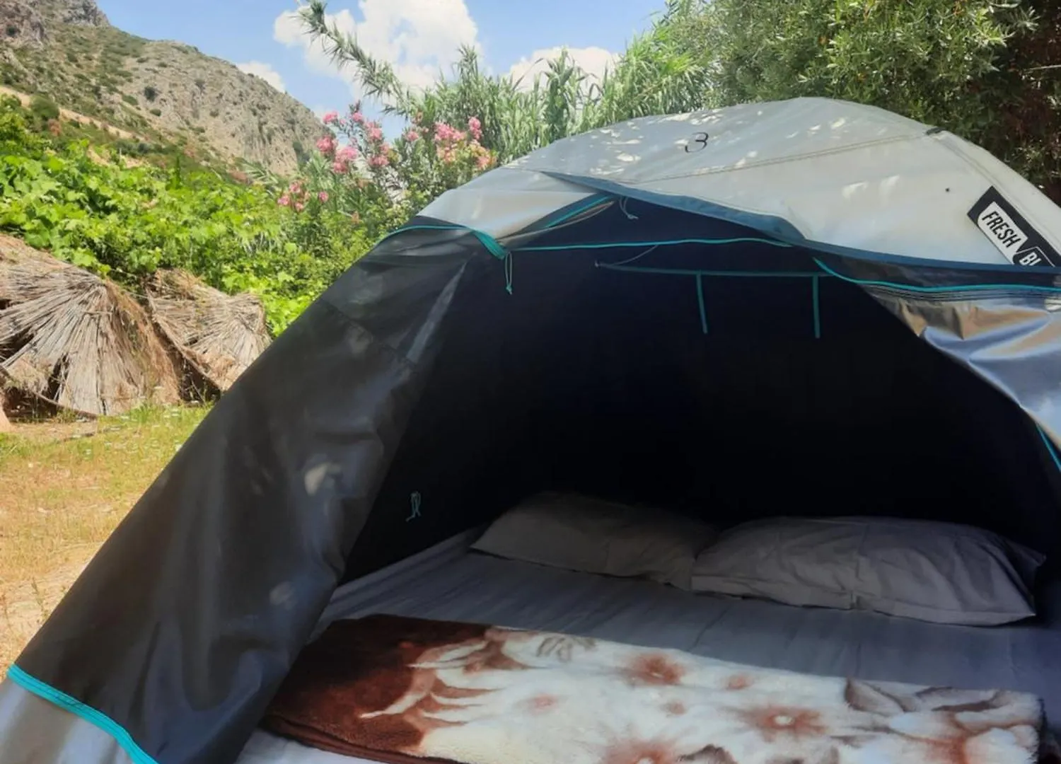 בורש Waveside Camping