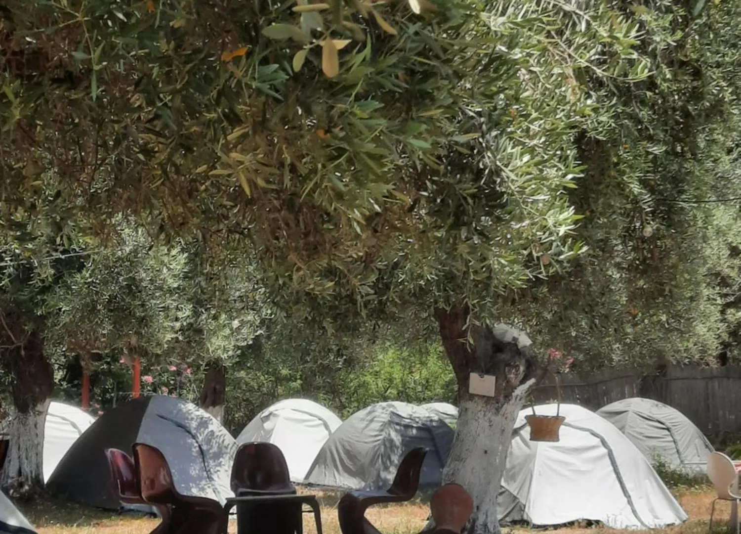 אתר קמפינג בורש Waveside Camping